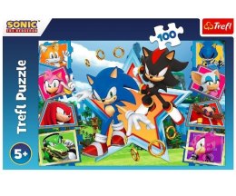 Puzzle 100 elementów Poznaj Sonica Sonic